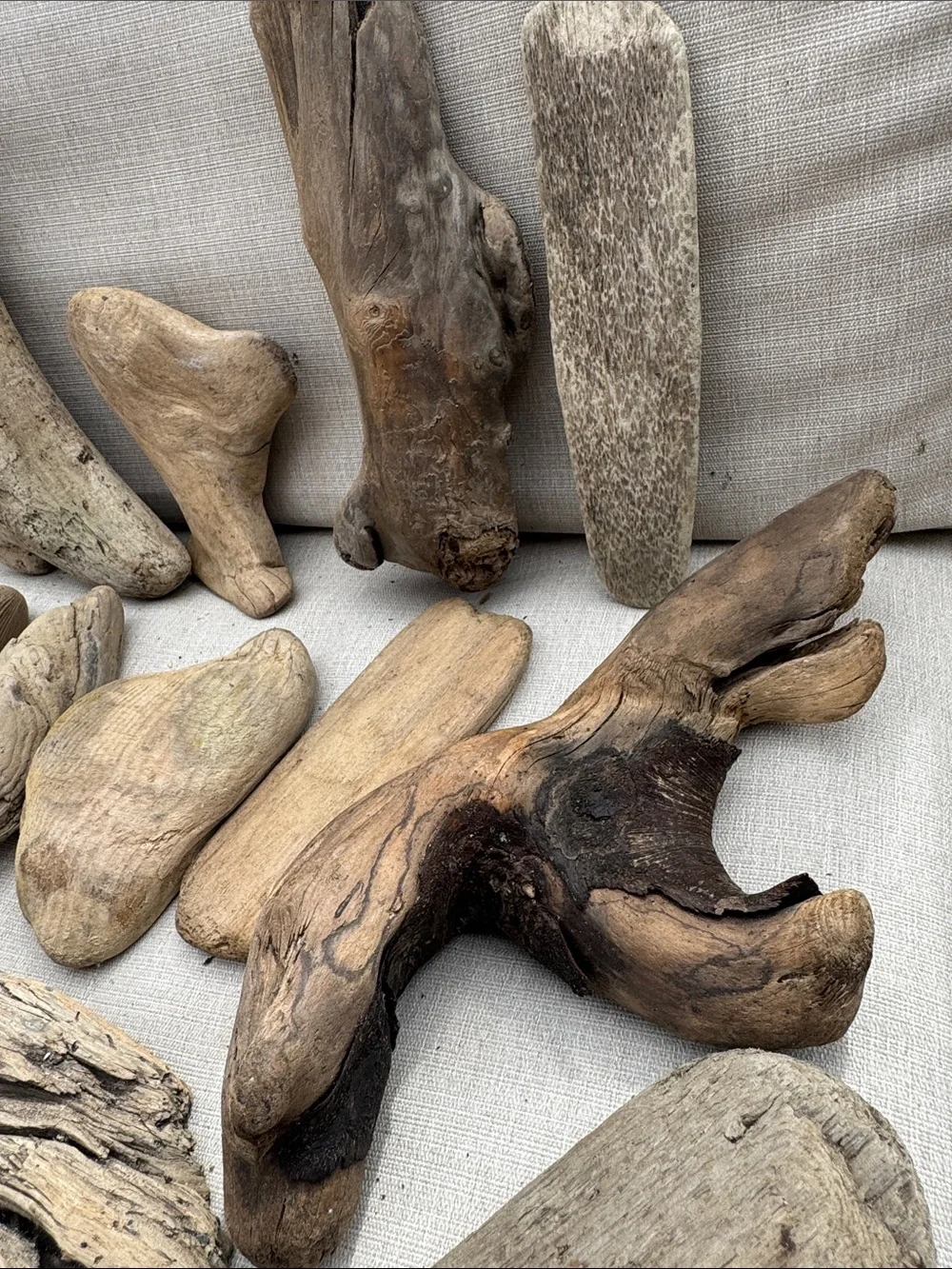 21 pc (5lbs shipped) Natural Driftwood Decorative Accent Decor, arts, crafts